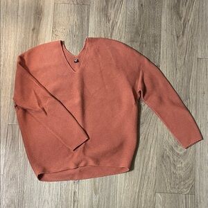 Uniqlo Men's V-Neck Sweater in Rust